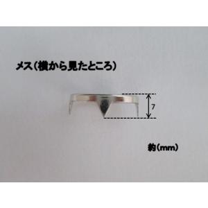 No.2木付ヒネリ(B)Ni メスのみ 10ケ...の詳細画像2