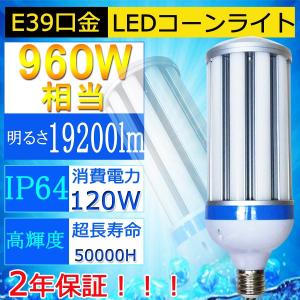 LDR30N-H-E39/W850 レディオック LEDアイランプ セルフバラスト水銀