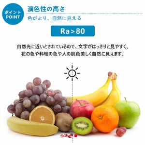 FPL36EX-N 【昼白色】 FPL36 L...の詳細画像3