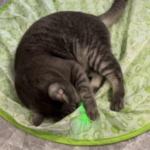 サイレントトイマット 猫 狩り専用袋 ストレス...の詳細画像1
