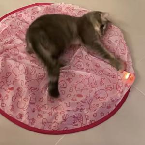 サイレントトイマット 猫 狩り専用袋 ストレス...の詳細画像3