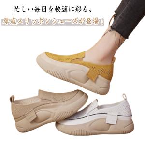 ラウンドトゥ メッシュ スニーカー 透かし彫り ...の商品画像