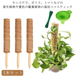 ココスティック モンステラ 支柱 ココナッツ 5本セット 園芸支柱