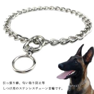 ステンレス2面喜平 犬用首輪 71CaOWbmTiL._UF894,1000_QL80_.jpg