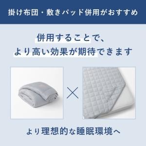 BAKUNE 掛け布団 オールシーズン 春秋に...の詳細画像1