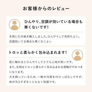 【25年モデル】BAKUNE 掛け布団 クール...の詳細画像3