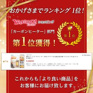 電気ストーブ カーボンヒーター 300w タイ...の詳細画像1