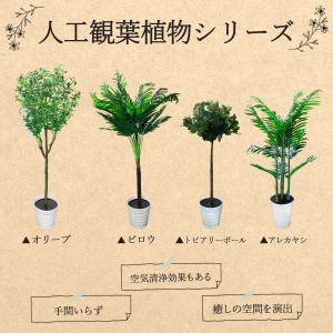 ●在庫限り● 観葉植物 トピアリーホール 大型...の詳細画像1