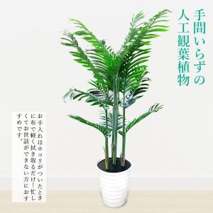 ●在庫限り● 観葉植物 トピアリーホール 大型...の詳細画像2