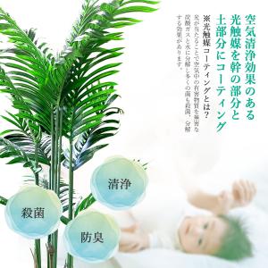 ●在庫限り● 観葉植物 トピアリーホール 大型...の詳細画像3