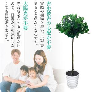 ●在庫限り● 観葉植物 トピアリーホール 大型...の詳細画像5