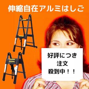 伸縮はしご はしご兼用脚立 脚立 ハシゴ 梯子...の詳細画像5