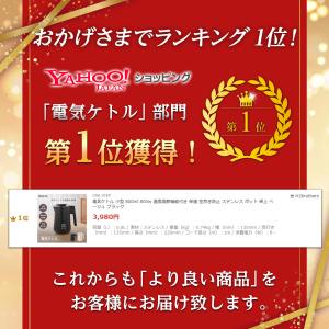 電気ケトル 小型 800ml 800w 温度調...の詳細画像1