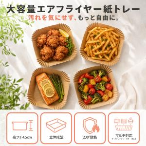 ノンフライヤーシート ノンフライヤー用紙 エア...の詳細画像1