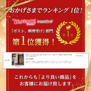 宅配ボックス 戸建 大型 防水 屋外 2段 後...の詳細画像1