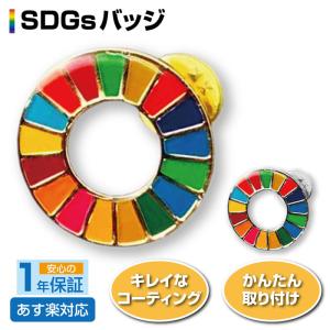 SDGs バッジ ピンバッジ 1個 ゴールド シルバー｜tenton-store