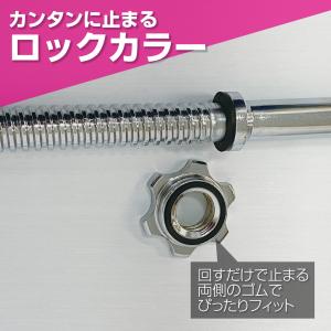バーベルシャフト 120cm Wシャフト ダブ...の詳細画像5