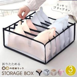 下着収納ボックス 1点2点5点 衣装ケース 大容量 押入れ 洋服 衣類 衣替え おもちゃ箱 押入れ収納 メッシュ