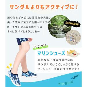 マリンシューズ キッズ 子供 水陸両用 靴 マ...の詳細画像2