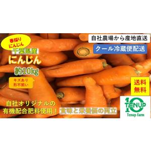 　春　にんじん　ニンジン　人参　《自社栽培�