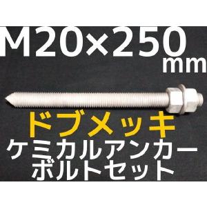 ケミカルボルト アンカーボルト ドブメッキ M20×250mm