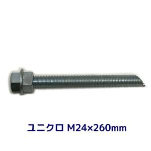 ケミカル アンカーボルト セット ユニクロメッキ M24×260mm