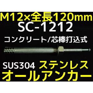 オールアンカー ステンレス M12 長さ 100mm SC-1210 ( 1本単位 バラ