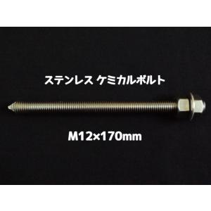 ケミカルボルト アンカーボルト ステンレス SU...の商品画像