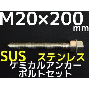 SUSアンカー太さ10mm長さ10cm