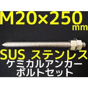 ケミカルボルト アンカーボルト ステンレス SUS M20×250mm 寸切ボルト1本 ナット2個 ワッシャー1個 Vカット 両面カット SUS304「取寄せ品」｜tenyuumarket