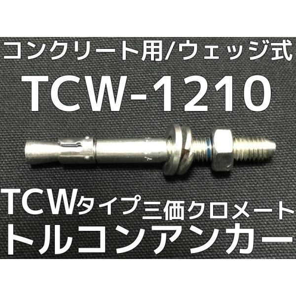 サンコーテクノ トルコンアンカー TCW-1210 M12 全長100mm 25本 スチール製 三価...