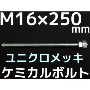 ケミカルボルト アンカーボルト ユニクロメッキ M16×250mm 寸切ボルト1本 ナット2個 ワッシャー1個 Vカット 両面カット「取寄せ品」｜tenyuumarket