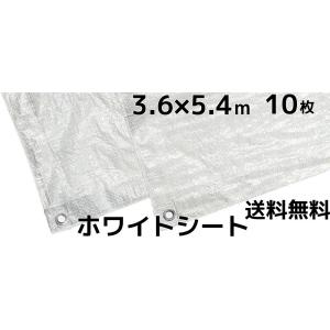 ホワイトシート 軽量 薄手タイプ 3.6m×5.4m 10枚入 送料無料(本州/四国/九州)「個人様宛/同梱/キャンセル/変更/返品不可」｜tenyuumarket