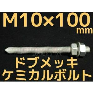 ケミカルボルト アンカーボルト ドブメッキ M10×100mm