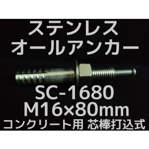 ステンオールアンカー１６１２（１８本） tugiteyasan_all-anker-c-1612
