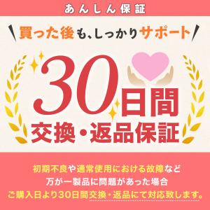 ウエストポーチ セキュリティ パスポート 貴重...の詳細画像4