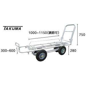 アルミハウスカー2杯積 250-4 メッキタチホの商品画像