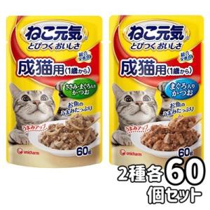 送料無料・同梱不可　ねこ元気　総合栄養食　パウチ　成猫用(1歳から)　60ｇ　2種　各60個　120...