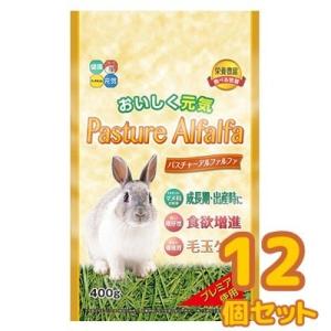 送料無料　ハイペット　パスチャーアルファルファ　400ｇ×12個セット