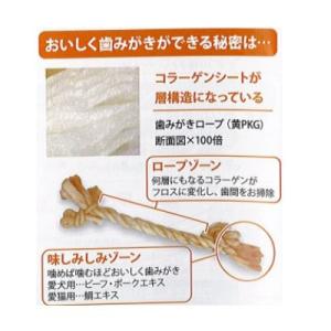 クロネコゆうパケット送料無料 アース・ペット ...の詳細画像1