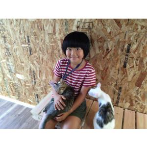 イトウ&カンパニー 猫庭 カツオ・マグロ かつ...の詳細画像1