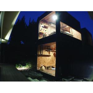 イトウ&カンパニー 猫庭 カツオ・マグロ かつ...の詳細画像2