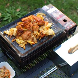 イワタニ 炉ばた焼器 炙りや / 炙りや2 専...の詳細画像5