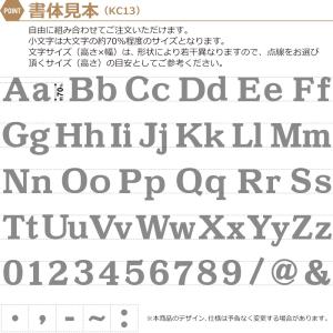 表札 切り文字 ステンレス アルファベット 数...の詳細画像5