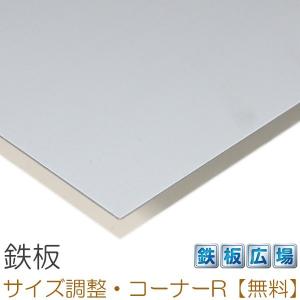 鉄板 SECC 板厚1.6mm 200×600mm オーダーカット 切り板 : 鉄板広場