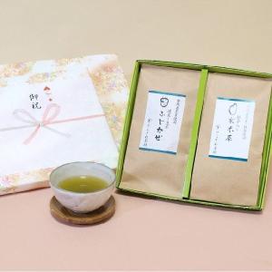 静岡茶深蒸し煎茶ふじかぜ＆抹茶入り玄米茶2本セット慶事用ギフト 日本茶 緑茶 お茶｜teracha