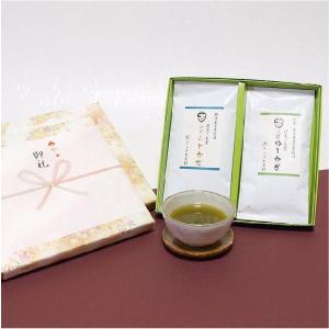 深蒸し煎茶特撰ふじかぜ＆上撰ゆしかざ2本セット　知覧茶 鹿児島茶と静岡茶の慶事用ギフト 日本茶 緑茶 お茶｜teracha