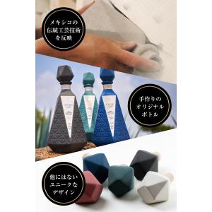[ARTE AZUL] アルテアズール エクス...の詳細画像5