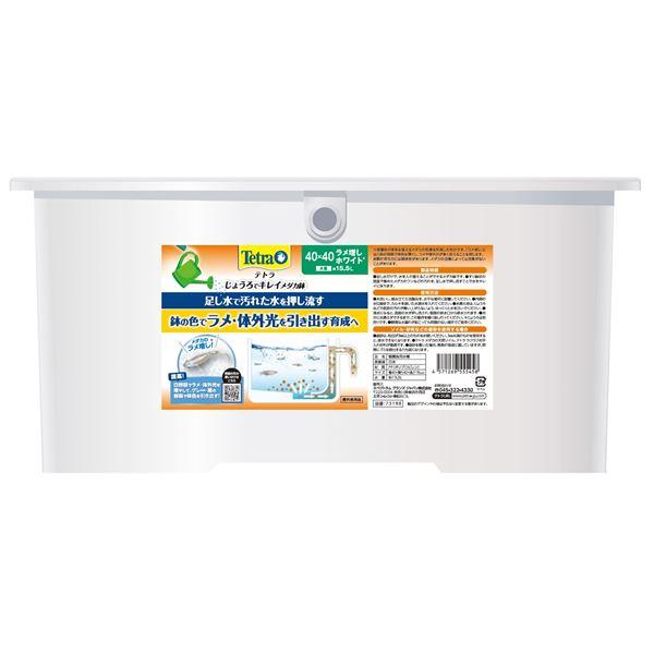 テトラ じょうろでキレイメダカ鉢 40×40 ラメ増しホワイト （観賞魚用品／水槽用品）【メーカー直...
