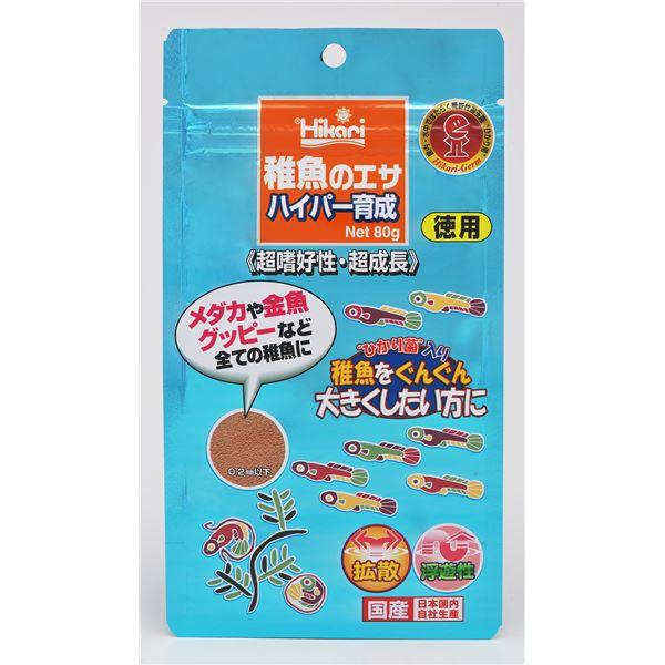 （まとめ） 稚魚のエサ ハイパー育成 80g 〔×2セット〕 観賞魚用フード【メーカー直送】